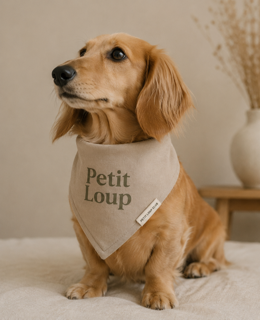 Bandana Pour Chien "Petit Loup"